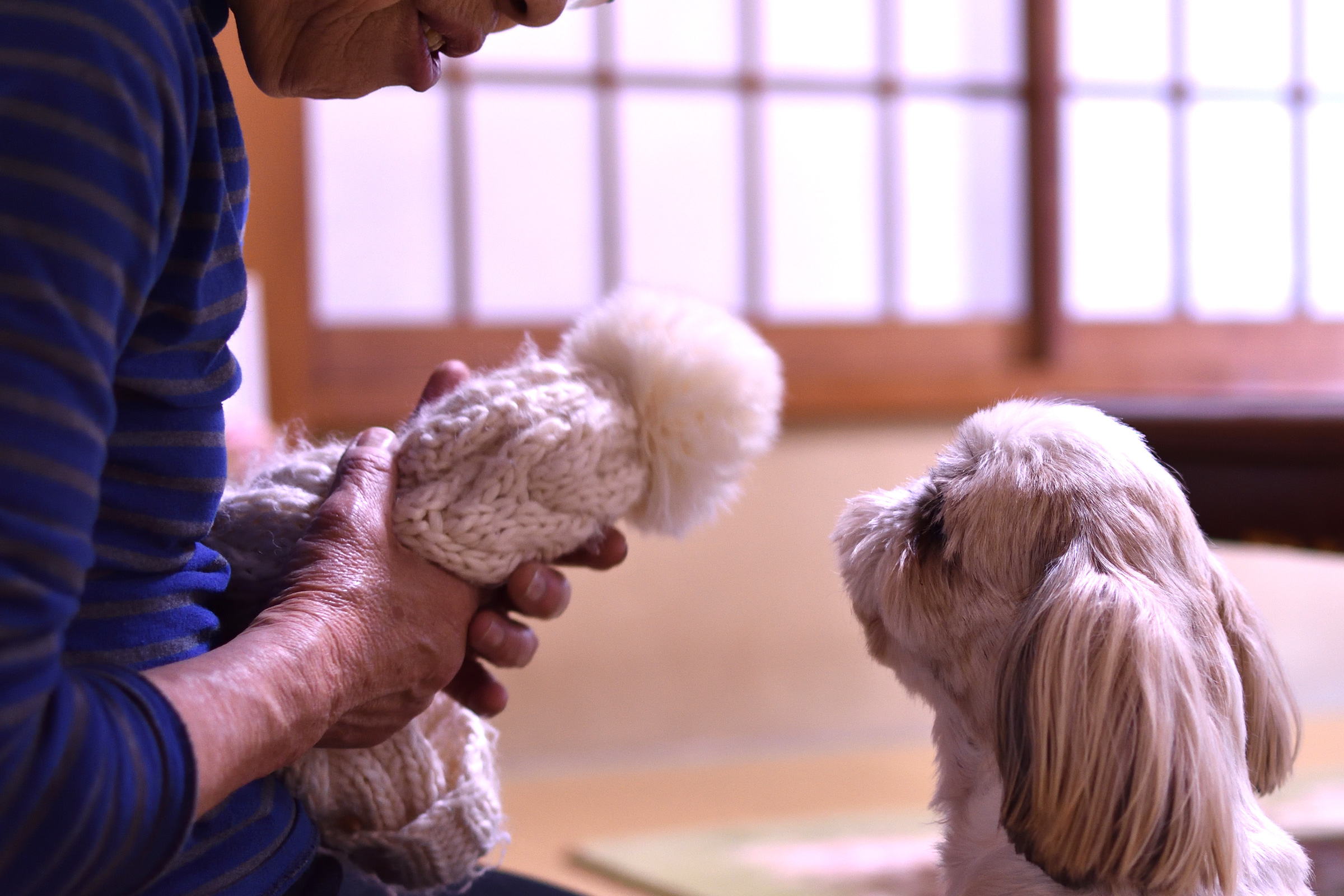 ふきよが手編みのぬいぐるみを愛犬に見せている様子